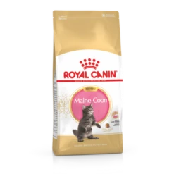 Royal Canin Maine Coon Chaton Pour Chat 4kg
