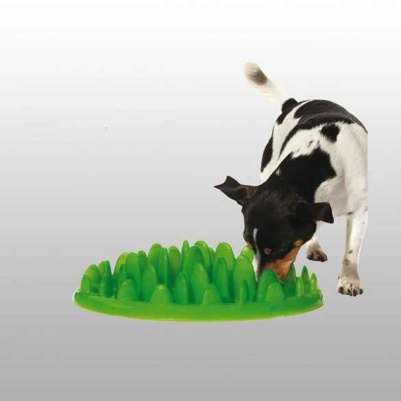 Gamelle Anti Glouton Northmate Green Karlie – Image 5