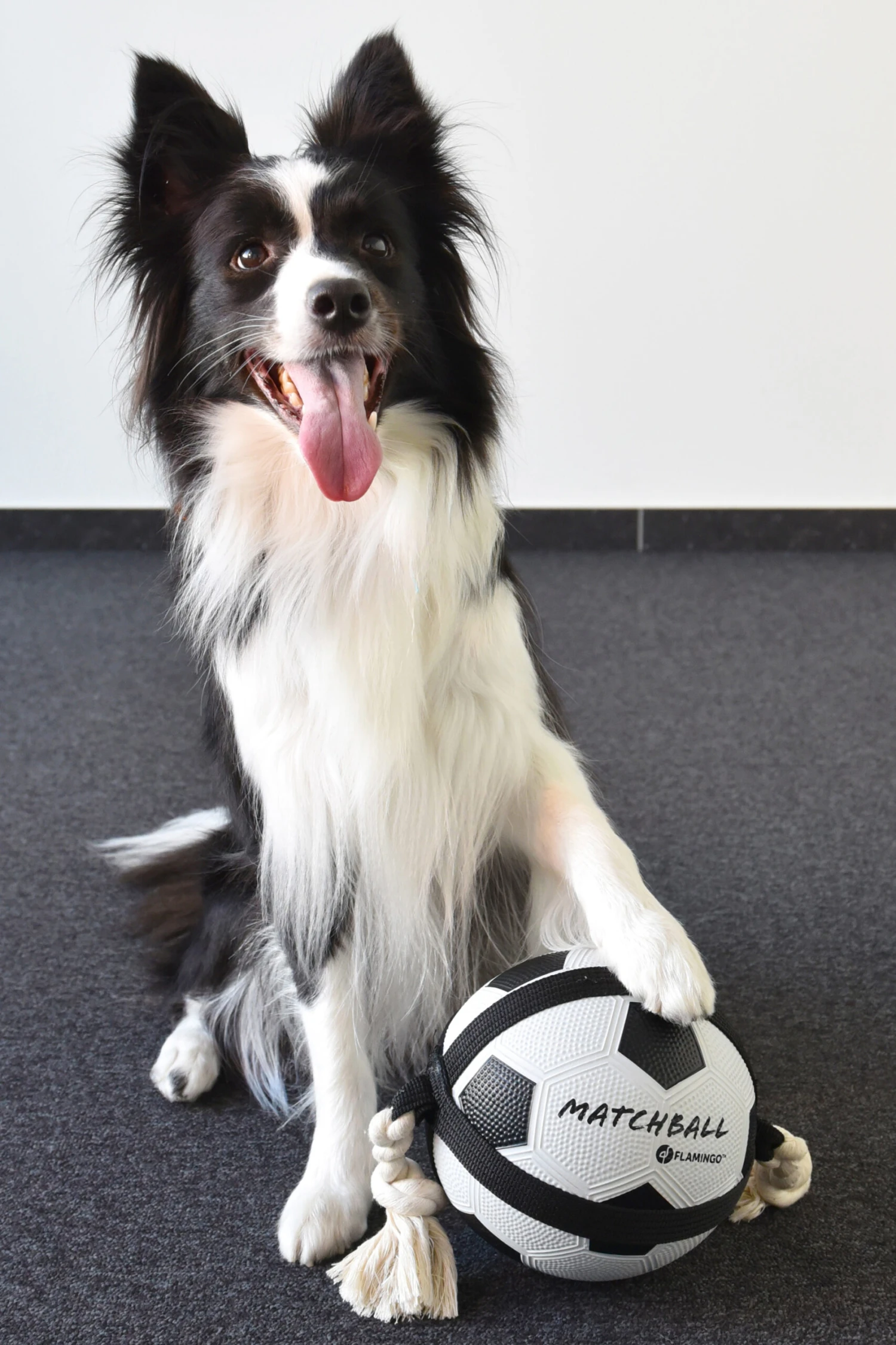 Flamingo Jouet Chien Matchball Balle De Foot 22cm – Image 4