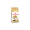 Royal Canin Ragdoll Adult Pour Chat 10kg