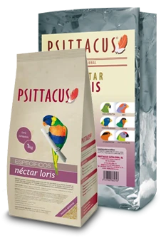 Psittacus Nectar Loris