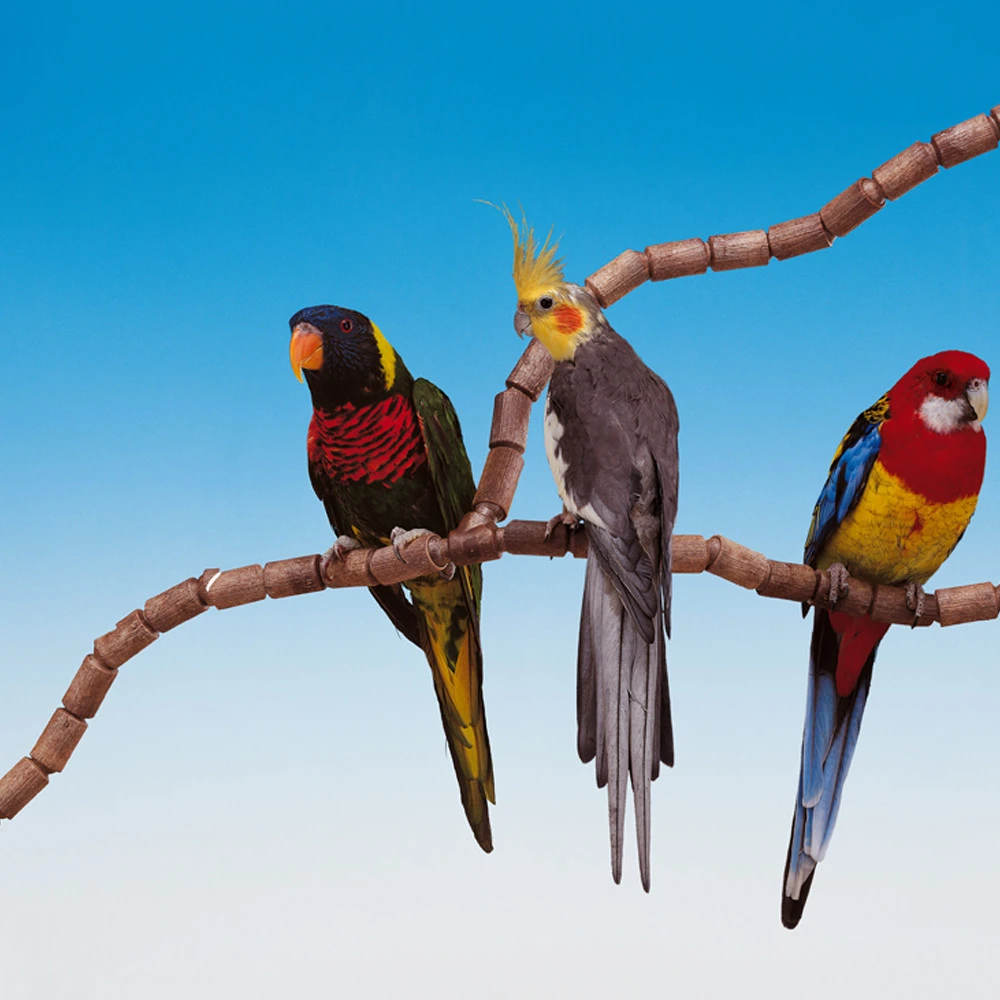 Ferplast Kit Cintre Flex 4192-16 – Image 2