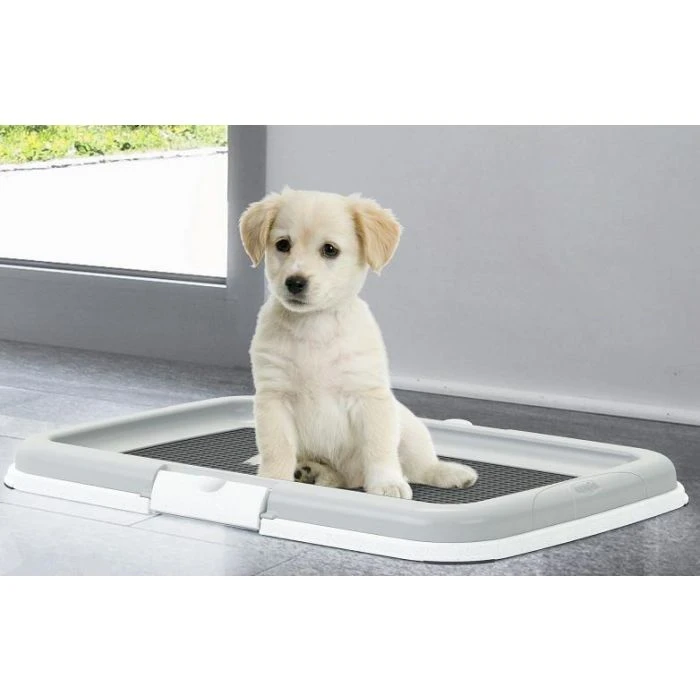 Set D'éducation Pour Chiot