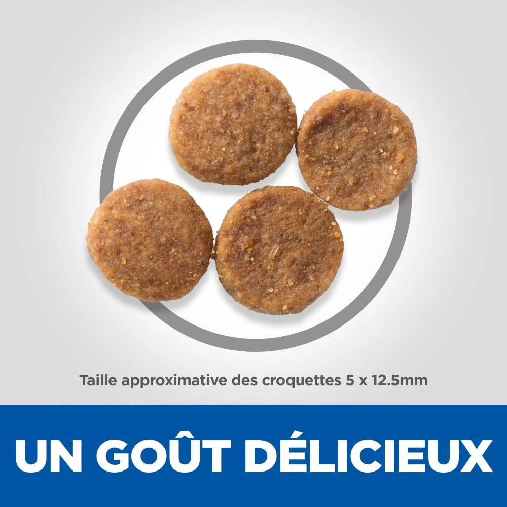 Hill's Science Plan Senior Vitality Croquettes Pour Chien âgé Au Poulet 14Kg – Image 4