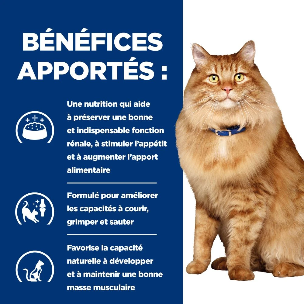 Hill's Prescription Diet K/D + Mobility Croquettes Pour Chat Au Poulet – Image 5