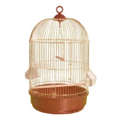 Arquivet Cage Piacenza