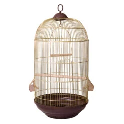 Arquivet Cage Lugano