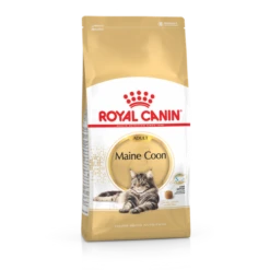Royal Canin Maine Coon Adult Pour Chat 4kg