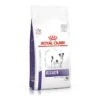 Royal Canin Chien Dental Small Dog