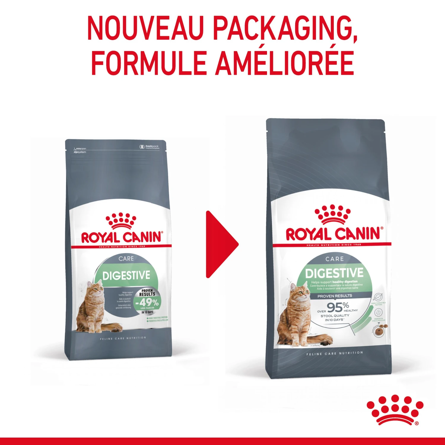 Royal Canin Digestive Care Pour Chat 4kg – Image 3