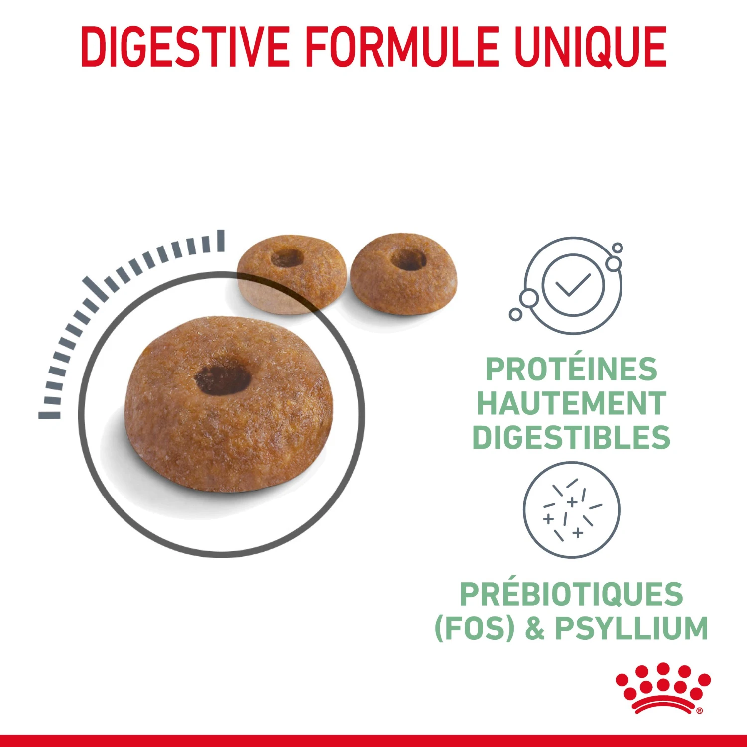 Royal Canin Digestive Care Pour Chat 4kg – Image 5
