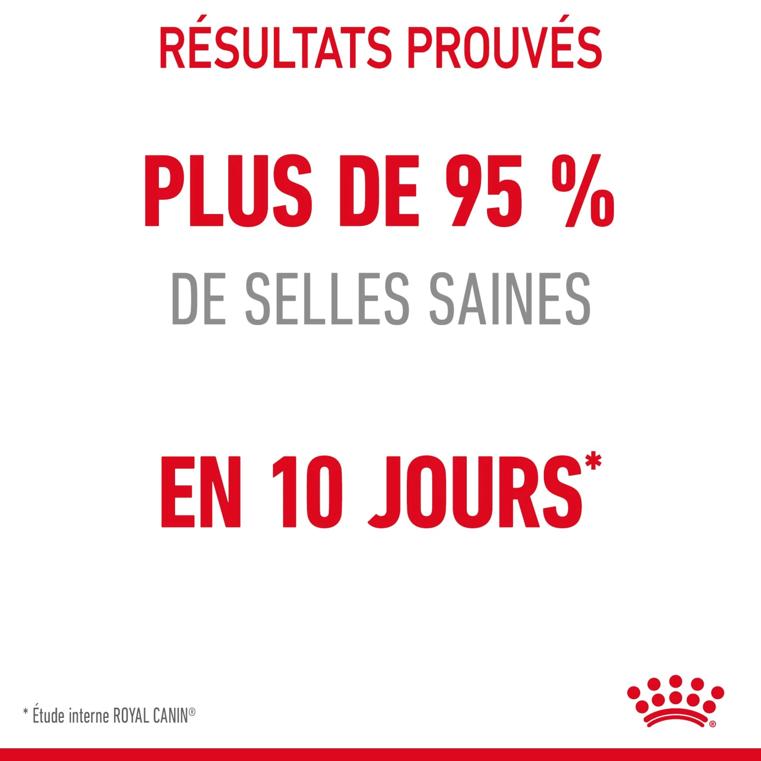 Royal Canin Digestive Care Pour Chat 4kg – Image 6