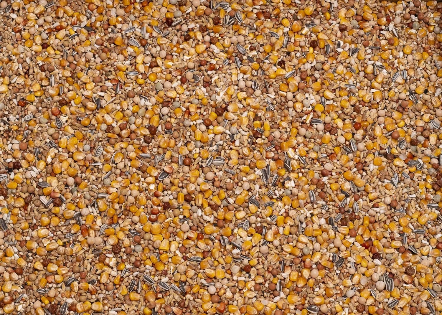 Beyers Basic Breeding Paste – Image 2