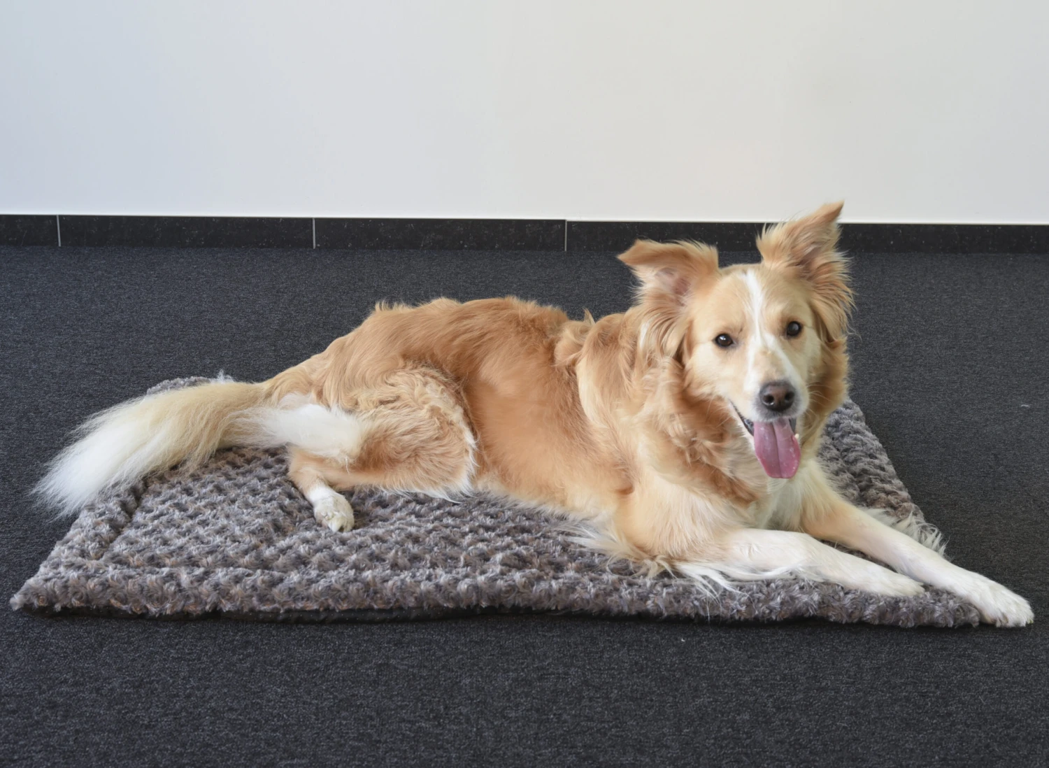 Flamingo Coussin Cuddly Plat Rectangulaire Taupe 85,5x51x2cm – Image 3