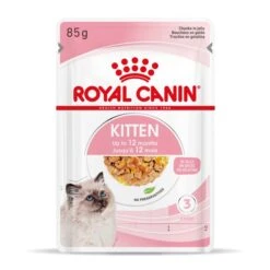 Royal Canin Chaton - Gelée 12x85g