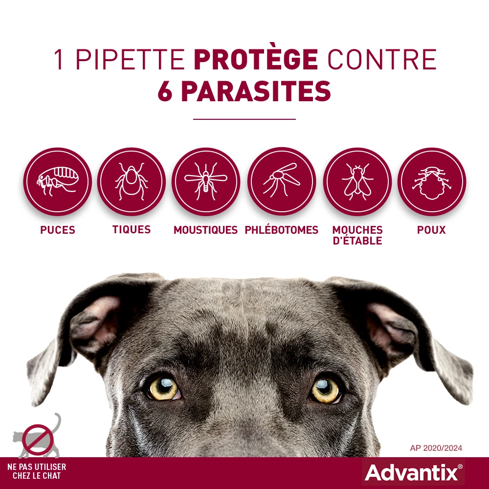 Advantix Petit Chien 4-10Kg – Image 6