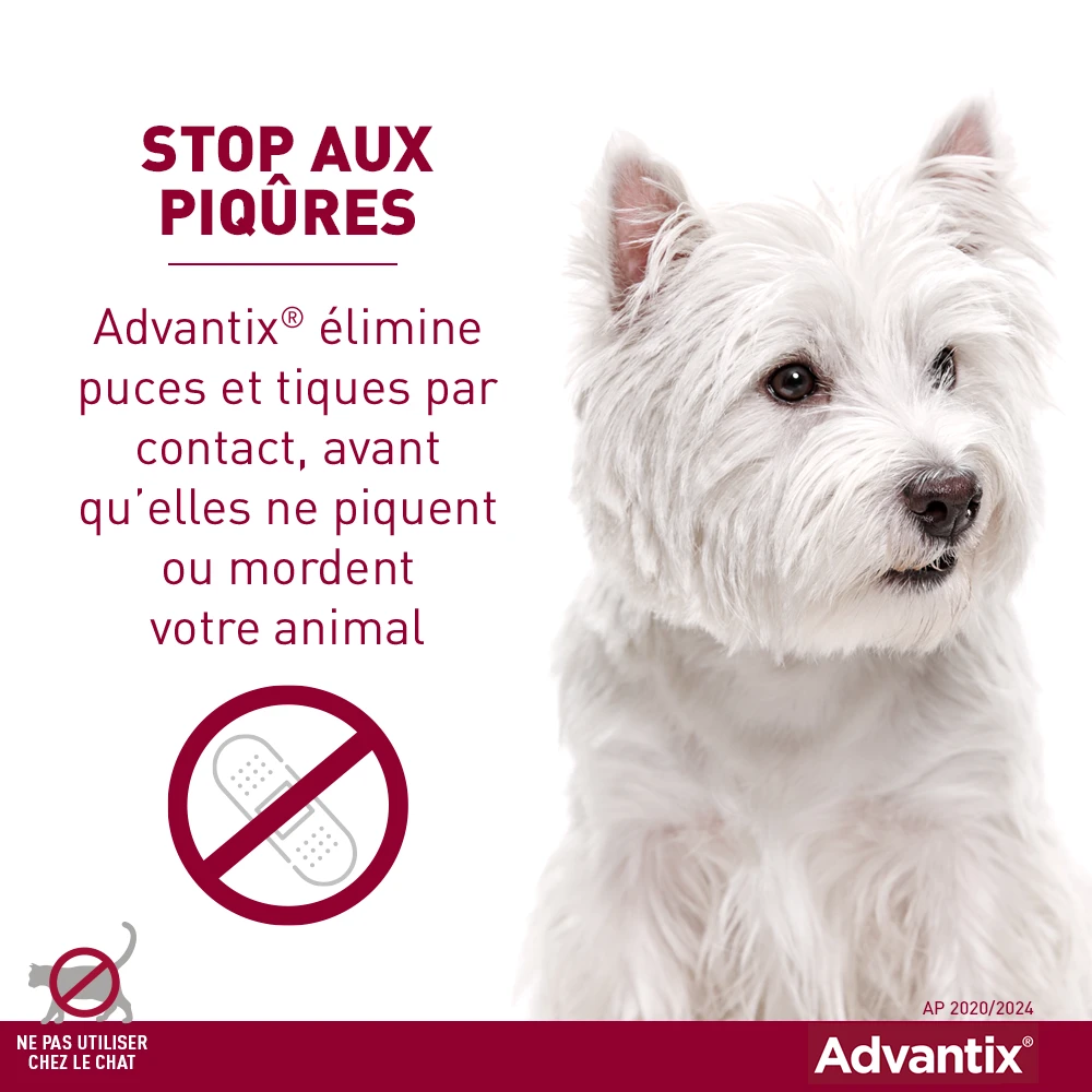 Advantix Petit Chien 4-10Kg – Image 2