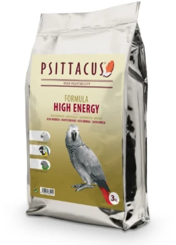 Psittacus Haute énergie