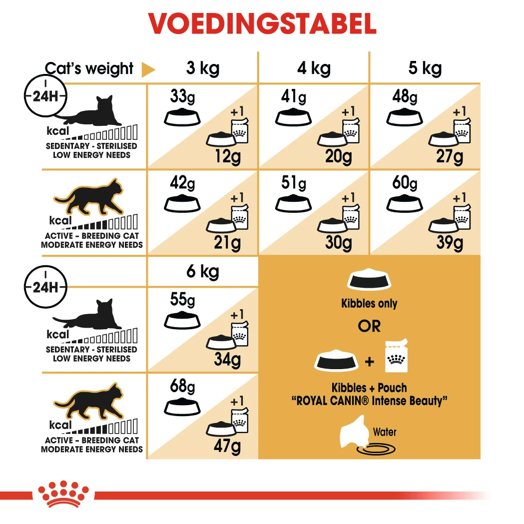 Royal Canin Siamese 38 Pour Chat 2kg – Image 2