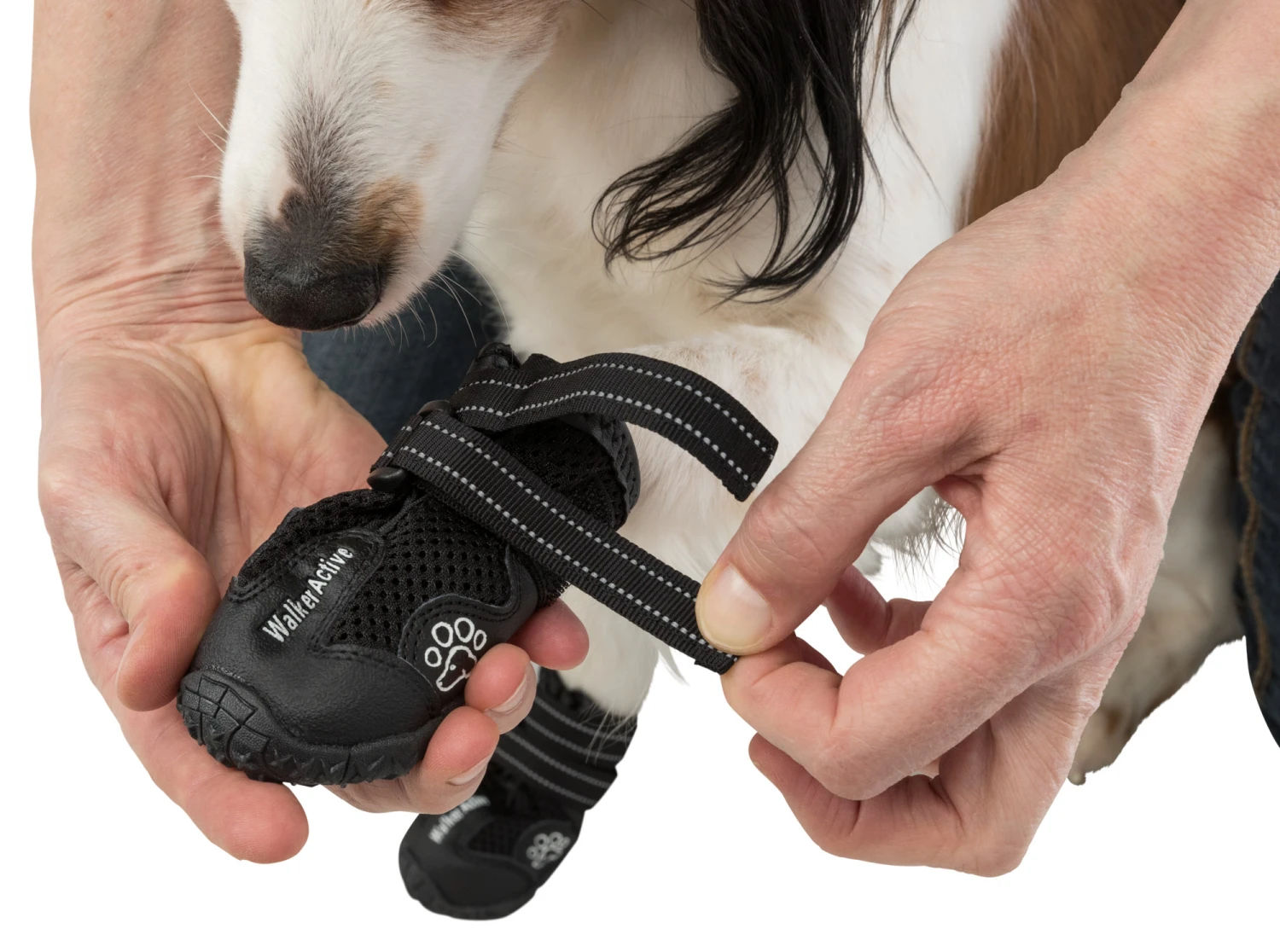 Trixie Chaussures De Protection Walker Active / M 2pcs. – Image 6