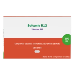 Sofcanis B12 40 Comprimés