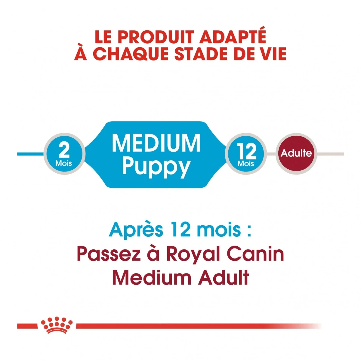 Royal Canin Medium Junior Pour Chien – Image 3