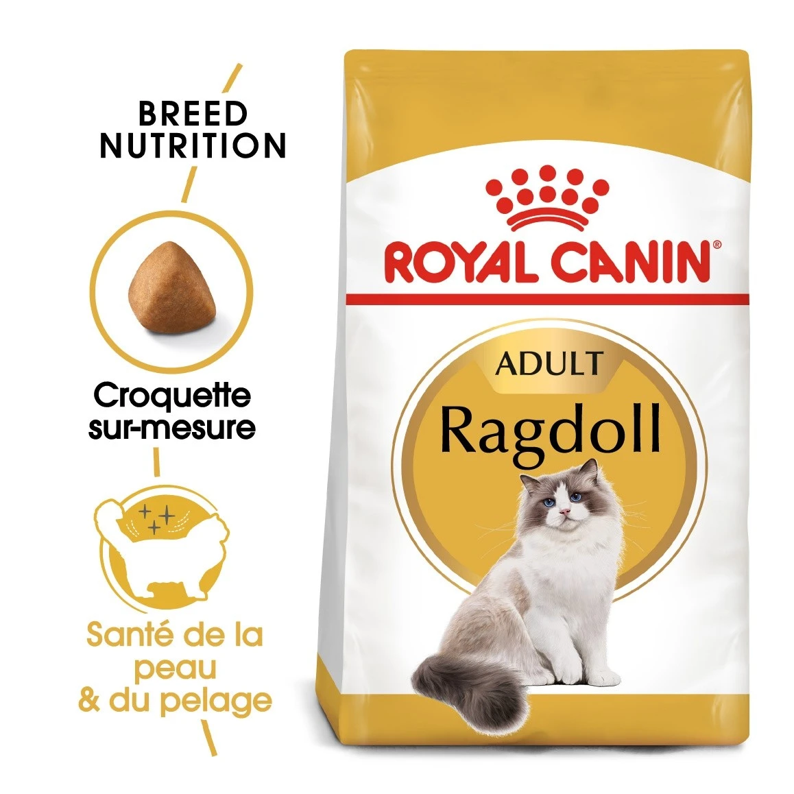 Royal Canin Ragdoll Adult Pour Chat 10kg – Image 3